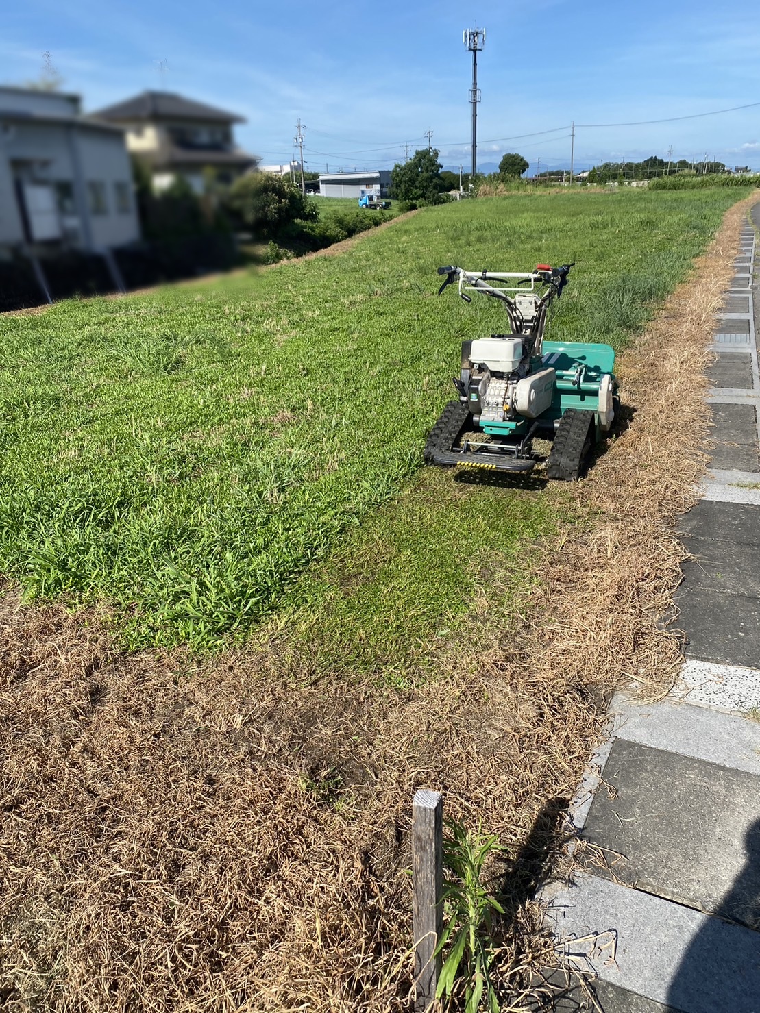 ハンマーナイフモアによる草刈り作業の現場