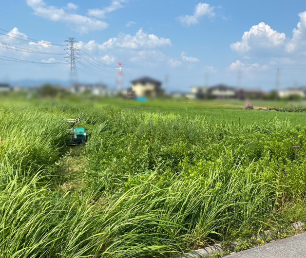 草刈り前の土地