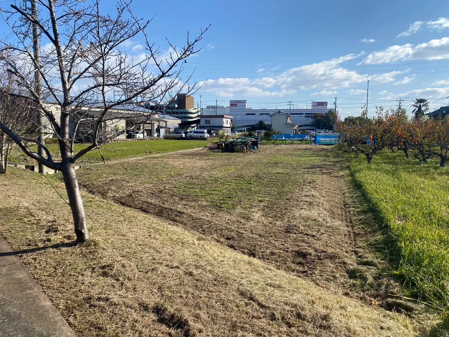 草刈り事例_木曾川町_2