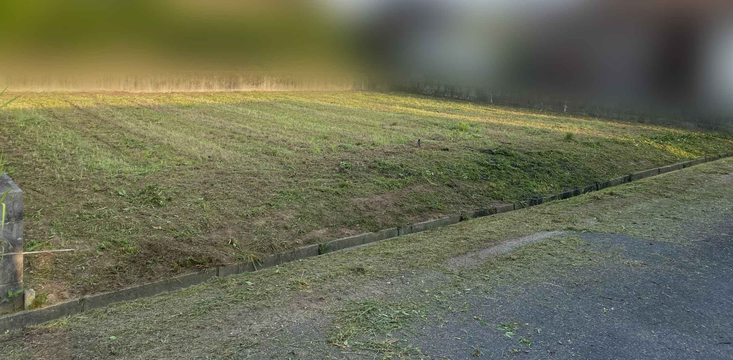 草刈り作業後の土地